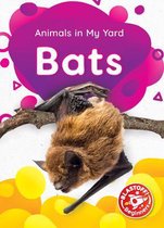 Animals in My Yard- Bats