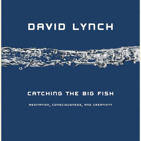 Catching the Big Fish - cover