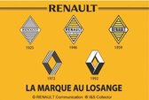 Wandbord 20x30 Renault Logo's