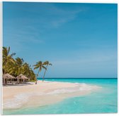Forex - Tropisch Wit Strand met Blauwe Zee en Palmbomen - 50x50cm Foto op Forex