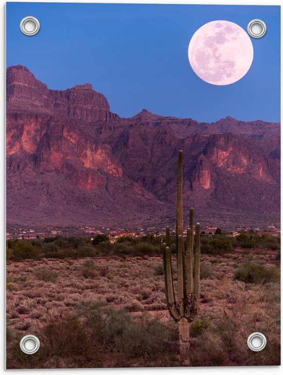 Tuinposter – Volle Maan in Nationaal Bos in Arizona - Amerika - 30x40cm Foto op Tuinposter  (wanddecoratie voor buiten en binnen)