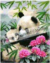 diamond painting- Panda beren omringd door bloemen - volledig 40x50cm direct leverbaar