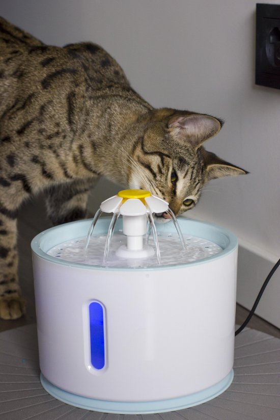 Poezenparadijs - drinkfontein voor katten en honden - fluister stil - LED  verlichting... | bol.com
