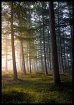 Poster Into The Woods - 30x40 cm Met Fotolijst - Natuur Poster - WALLLL