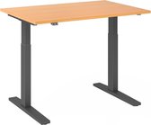 Bureau - In Hoogte Verstelbaar - Meerkleurig - Xmka 12 G - 120x80 -