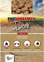 Pootaardappel Dore 1Kg Kwaliteit aardappelen, direct van de kweker