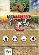 Pootaardappel Nicola 1 Kg - Kwaliteit aardappelen, direct van de kweker