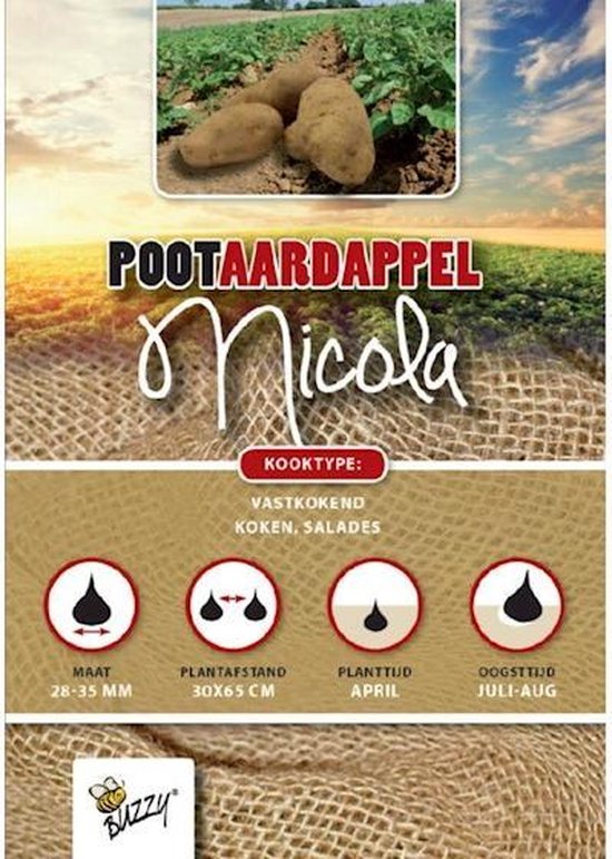 Pootaardappel Nicola – zakje 1kg