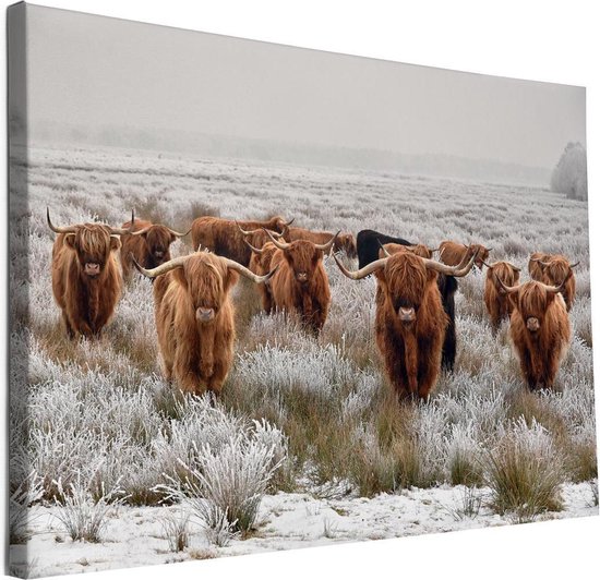 Schotse Hooglanders op canvas schilderij | 60x40cm | frame dikte 18mm | Wandpaneel | Canvasdoek | Canvasframe |Foto op canvas | Wanddecoratie