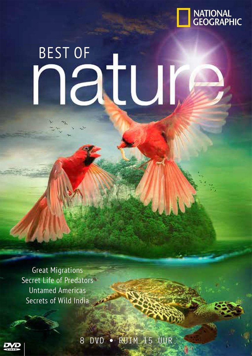 nature scenery dvd