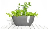 Ecopots Sofia ovaal 30 cm grijs - planten/bloembak-pot