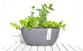 Ecopots Sofia ovaal bluestone 30 cm - planten/bloembak-pot