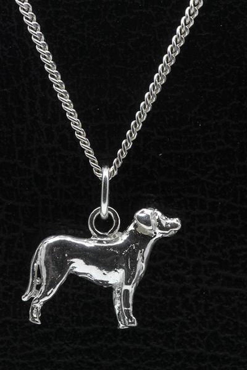 Zilveren Zwitserse sennenhond ketting hanger - groot