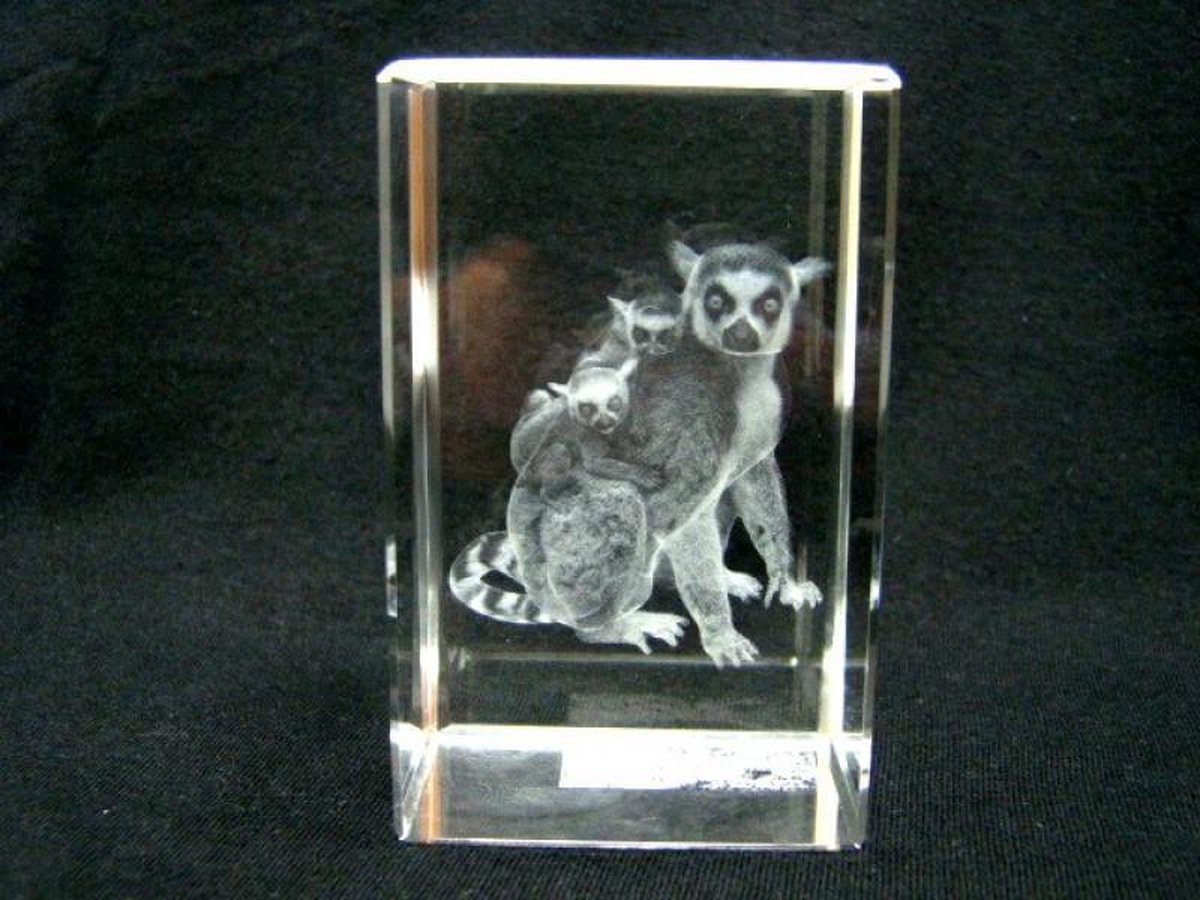 Glasblokje Ringstaartmaki met Baby’s 3D – Lasergravure – Cadeauverpakking 8 cm