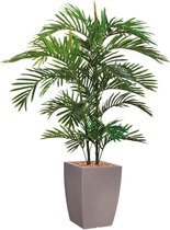 HTT - Kunstplant Areca palm in Genesis vierkant taupe H150 cm
