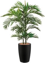 HTT - Kunstplant Areca palm in Genesis rond antraciet H150 cm