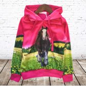 Roze meisjes trui met paard H24 -s&C-86/92-Hoodie meisjes