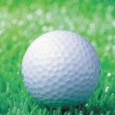 Let op type!! Synthetische Rubber Driving Range golfballen  dubbele laag leeg elastische golfballen