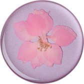 Pressed Flower Delphinium Pink