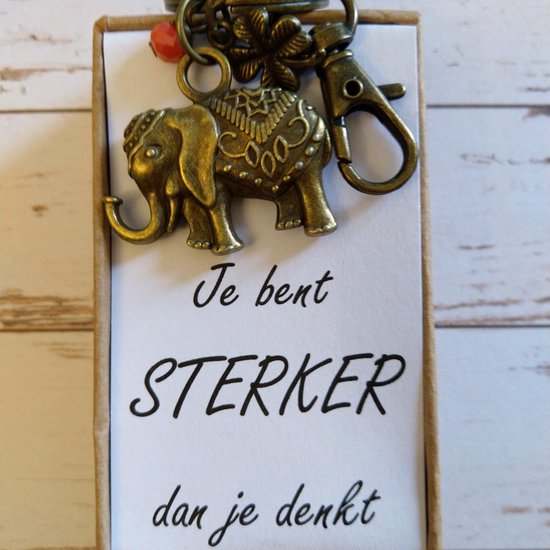 Coffret cadeau "Vous êtes plus fort que vous ne le pensez" Grand éléphant  en bronze... | bol.com