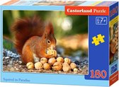 Castorland Legpuzzel Squirrel In Paradise 180 Stukjes