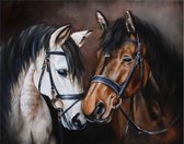 Diamond  Painting Horse Tenderness / Paarden 48x38