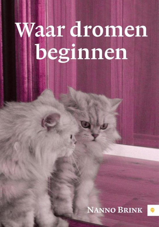 Waar dromen beginnen (ebook), Nanno Brink 9789400821910 Boeken bol