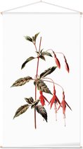 Bellenplant (Fuchsia White) - Foto op Textielposter - 60 x 90 cm