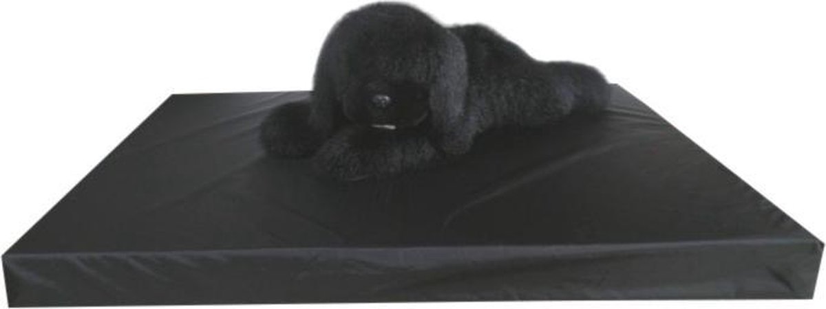 Topmast Gezondheidsmatras Hondenbed Hondenmatras Leatherlook Zwart 80 x 55 cm