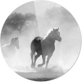 Schilderij - Paarden Zwart-wit - Zwart En Wit - 100 X 100 Cm Paarden | Zwart-wit | Dieren | Rond Plexiglas | Wanddecoratie | 100cm X 100cm | Schilderij | Foto Op Plexiglas