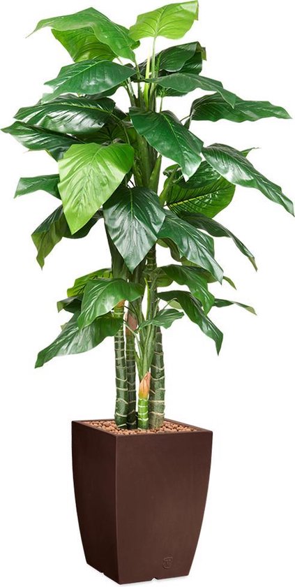 HTT - Kunstplant Philodendron in Genesis vierkant bruin H210 cm