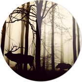 Rendier in het bos | Wanddecoratie | 40CM x 40CM | Schilderij | Foto op plexiglas | natuur | Landschappen