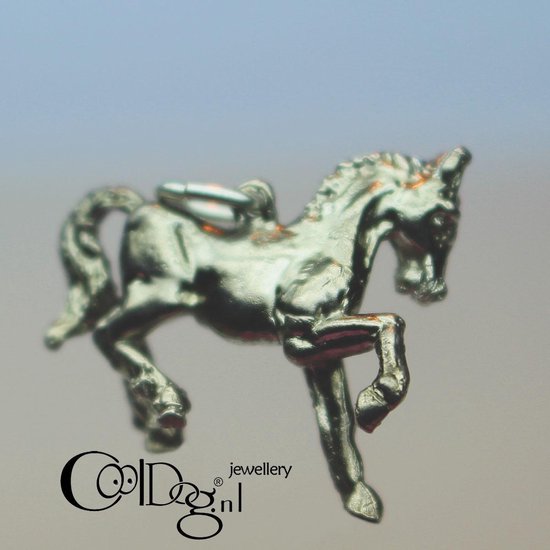 Zij zijn Derbevilletest etiket massief .925 Zilver - Paard Arabier spelend - merk COOLDOG™ - ketting  Hanger Paarden... | bol.com