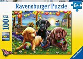 Ravensburger puzzel Honden picknick - Legpuzzel - 100 stukjes