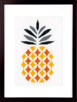 Ananas borduren (pakket)