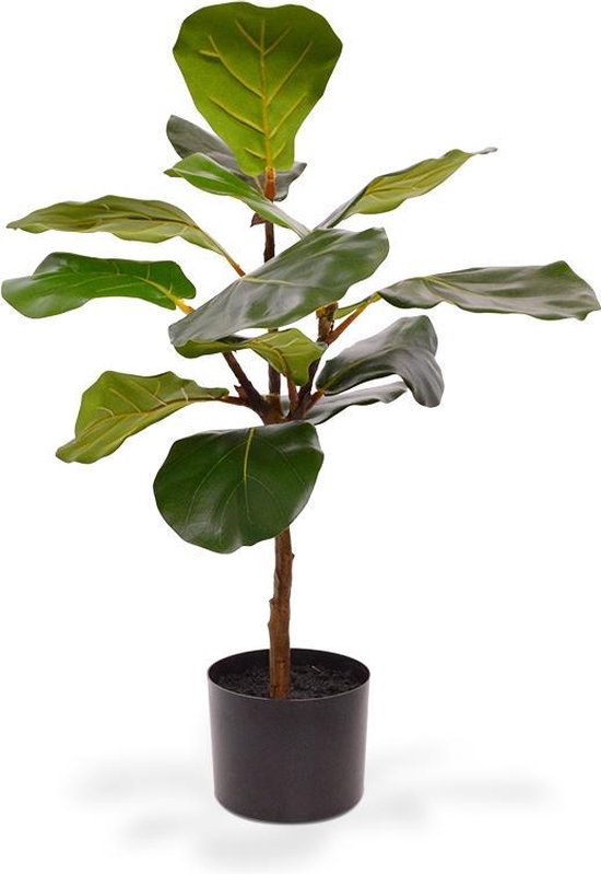 Maxifleur - Plante artificielle Lyrata 60 cm en pot | bol.com