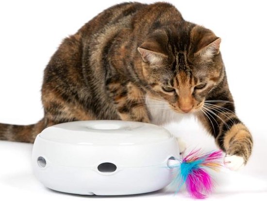 mannetje alias hel Katten speelgoed - Kattenspeelgoed intelligentie - kattenspeelgoed  elektrisch | bol.com