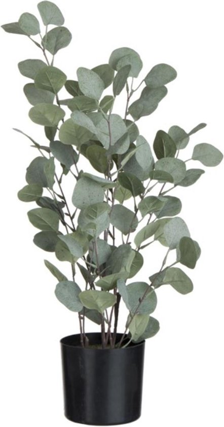J-Line plant Eucalyptus In Pot - kunststof - groen - large
