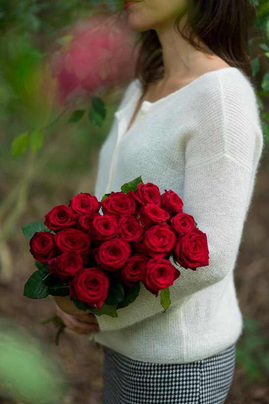 Twintig rode rozen - verse rozen bestellen rode rozen van de kweker | bol.com