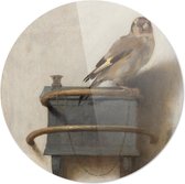 Het puttertje |  Carel Fabritius| Rond Plexiglas | Wanddecoratie | 100CM x 100CM | Schilderij | Oude meesters | Foto op plexiglas