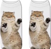 Enkelsokken Kat - kattensokken - fotoprint enkelsokken - Unisex - Maat 36-41