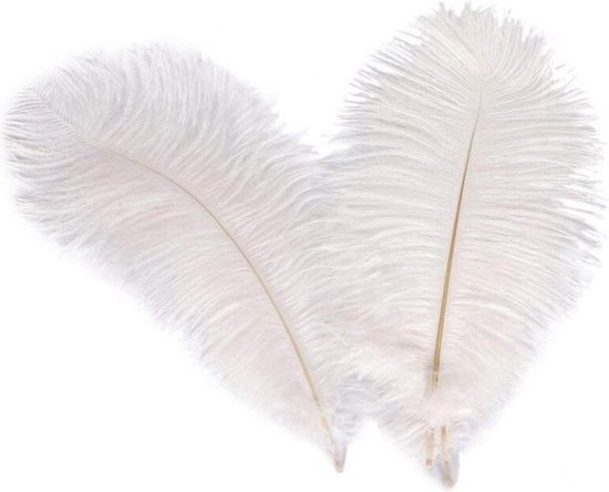 Uiterlijk zijn Gooi Luxe struisvogelveren - 5 stuks - 20 cm lang - Sierveren - Decoratie veren  -... | bol.com