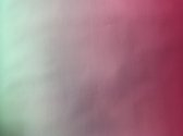 Cadeaupapier Roze - Groen BTS-14- Breedte 50 cm - 100m lang