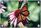 Tuinposter –Zwart / Oranje Vlinder– 150x100 Foto op Tuinposter (wanddecoratie voor buiten en binnen)