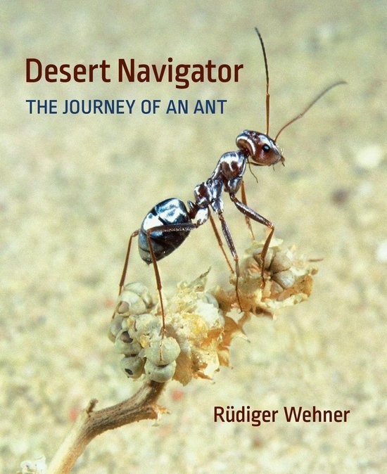 Desert Navigator - cover