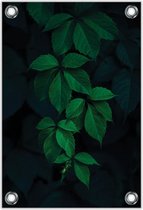 Tuinposter –Groene Bladeren – 80x120cm Foto op Tuinposter (wanddecoratie voor buiten en binnen)