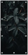 Tuinposter –Bladeren in de Regen– 100x200cm Foto op Tuinposter (wanddecoratie voor buiten en binnen)