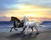 Eagle® Diamond Painting Volwassenen - Diamond Painting Kinderen - Paarden in Zee - 50x40cm