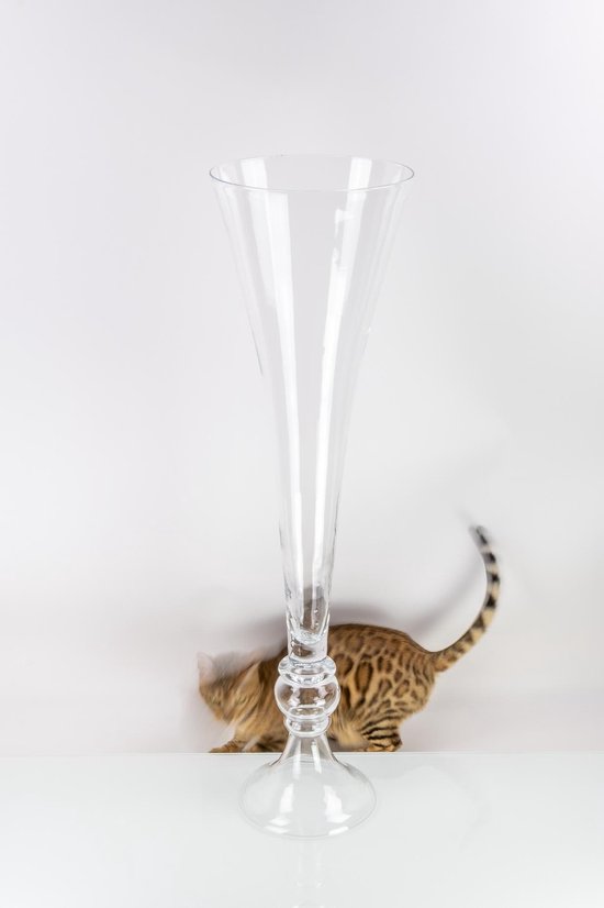 Bekentenis Bakkerij ornament Hoge chique glazen vaas op voet H100 cm D 28 cm | bol.com