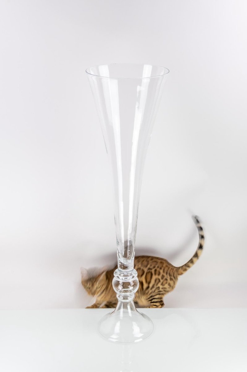Hoge chique glazen vaas op voet H100 cm D 28 cm | bol.com